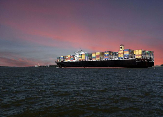 Fast UPS DHL Express Shipping From China To USA